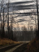 Landscape and scenes