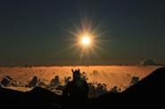 haleakala Horseman 217