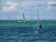 Wind Surfing 143